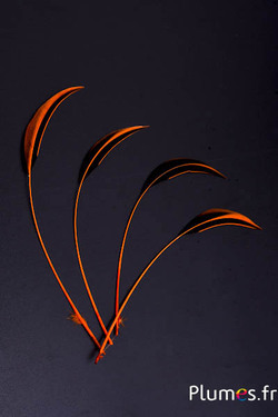 Canard Mandarin strippé - 15-20 cm - orange